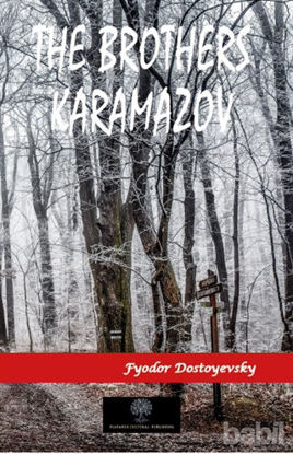 Picture of The Brothers Karamazov