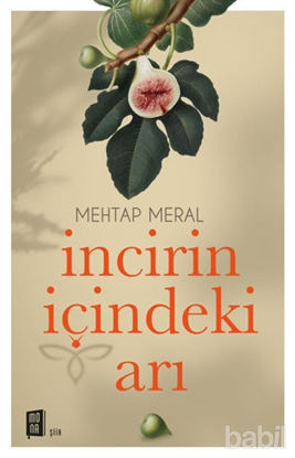 Picture of İncirin İçindeki Arı