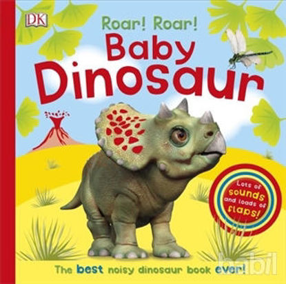 Picture of Roar! Roar! Baby Dinosaur