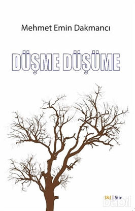 Picture of Düşme Düşüme