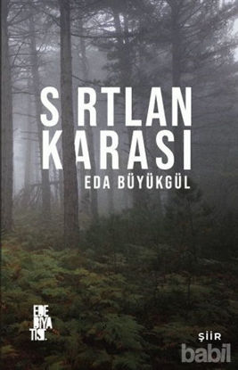 Picture of Sırtlan Karası