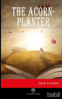 Picture of The Acorn-Planter