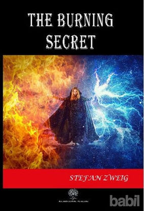 Picture of The Burning Secret