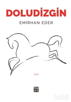 Picture of Doludizgin