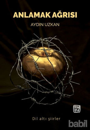 Picture of Anlamak Ağrısı