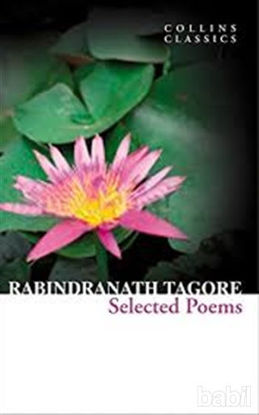 Picture of Selected Poems