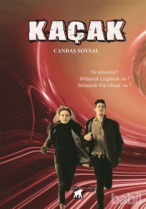 Picture of Kaçak