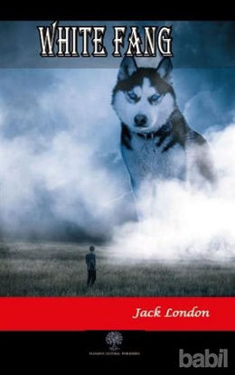 Picture of White Fang