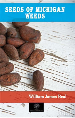 Picture of Seeds of Michigan Weeds