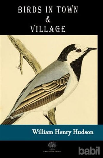 Picture of Birds in Town and Village