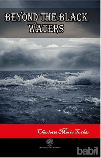 Picture of Beyond the Black Waters