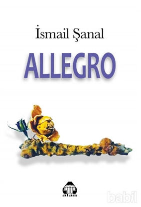 Picture of Allegro