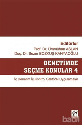 Picture of Denetimde Seçme Konular 4