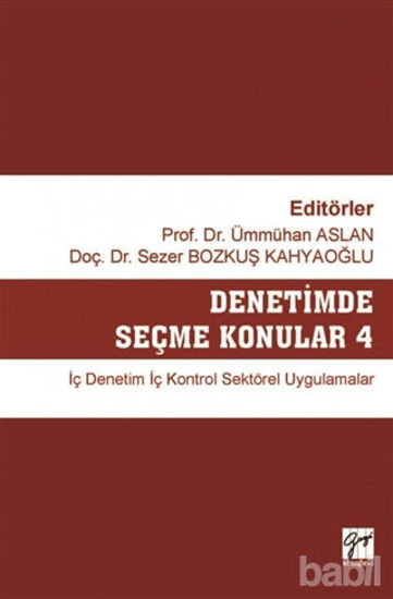 Picture of Denetimde Seçme Konular 4