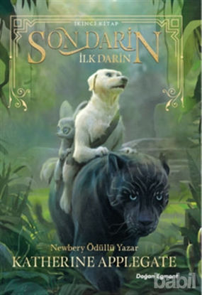 Picture of Son Darin 2