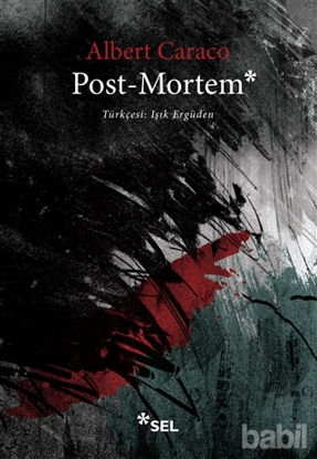 Picture of Post-Mortem
