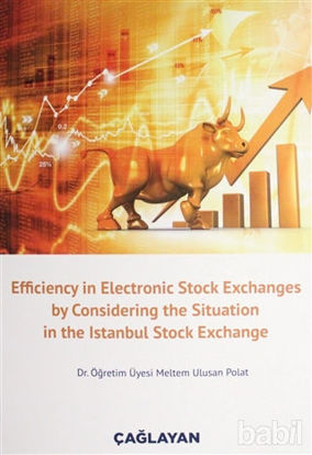 Picture of Efficiency in Electronic Stock Exchanges by Considering the Situation in the Istanbul Stock Exchange