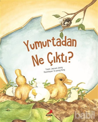 Picture of Yumurtadan Ne Çıktı?