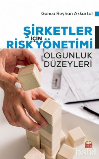 Picture of Şirketler İçin Risk Yönetimi - Olgunluk Düzeyleri