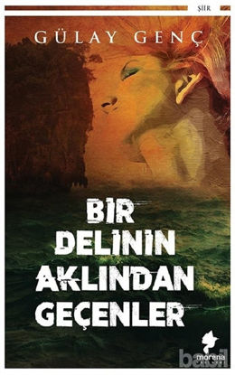 Picture of Bir Delinin Aklından Geçenler