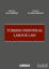 Picture of Turkish Individual Labour Law