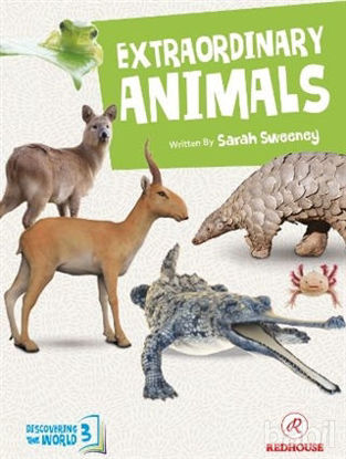 Picture of Extraordinary Animals