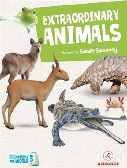 Picture of Extraordinary Animals