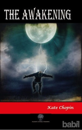 Picture of The Awakening