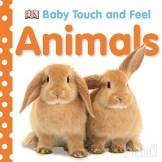 Picture of Baby Touch and Feel Animals