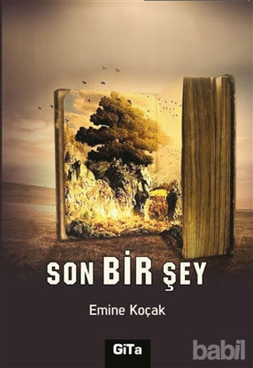 Picture of Son Bir Şey