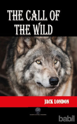 Picture of The Call of The Wild