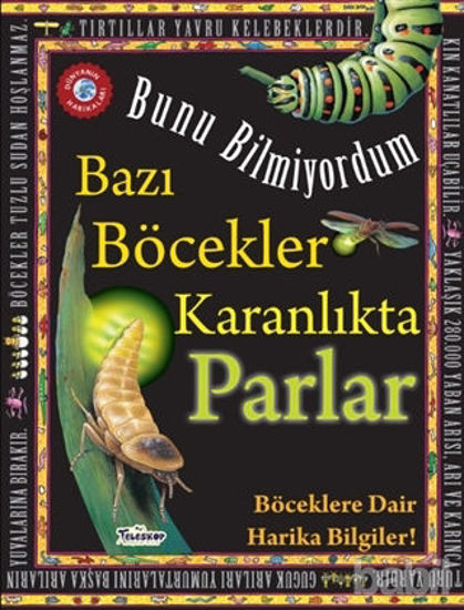Picture of Bazı Böcekler Karanlıkta Parlar - Bunu Bilmiyordum