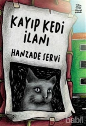 Picture of Kayıp Kedi İlanı