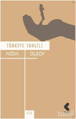 Picture of Türkiye Tahlili
