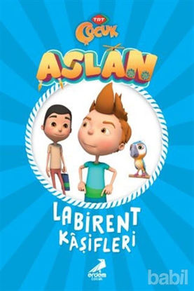 Picture of Aslan - Labirent Kaşifleri