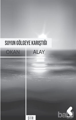 Picture of Suyun Gölgeye Karıştığı
