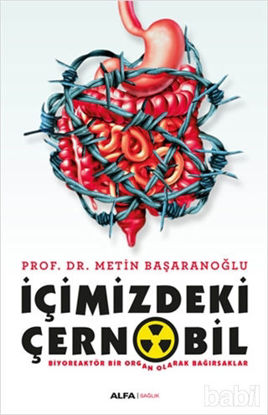 Picture of İçimizdeki Çernobil
