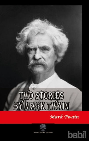 Picture of Two Stories by Mark Twain