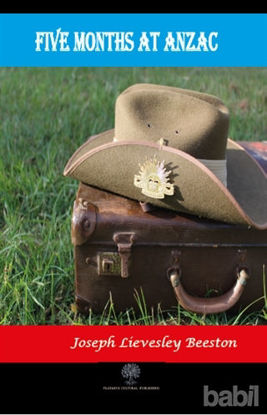 Picture of Five Months at Anzac