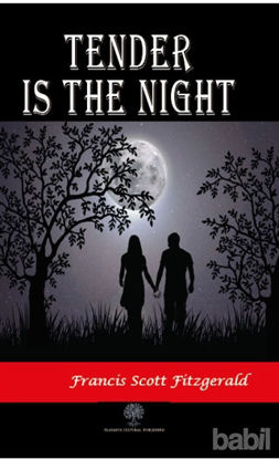 Picture of Tender is the Night