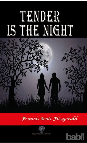 Picture of Tender is the Night