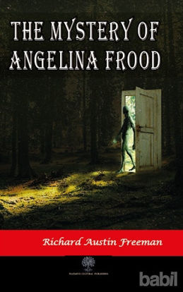 Picture of The Mystery of Angelina Frood