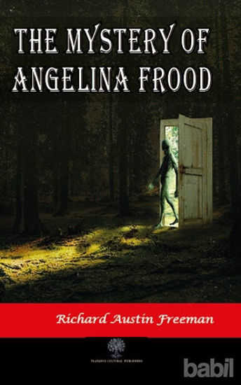 Picture of The Mystery of Angelina Frood