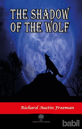 Picture of The Shadow Of The Wolf