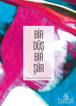 Picture of Bir Düş Bir Şiir
