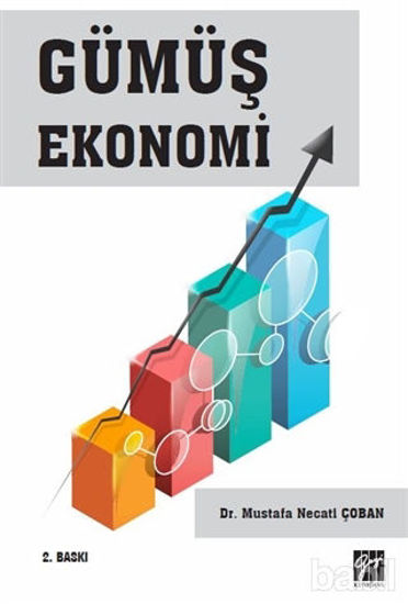 Picture of Gümüş Ekonomi