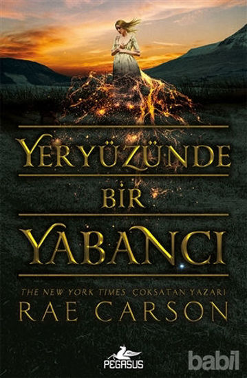 Picture of Yeryüzünde Bir Yabancı