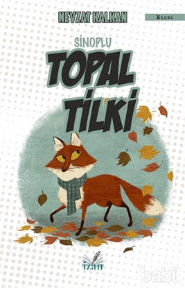 Picture of Sinoplu Topal Tilki