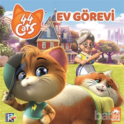 Picture of 44 Cats - Ev Görevi