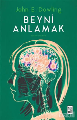 Picture of Beyni Anlamak